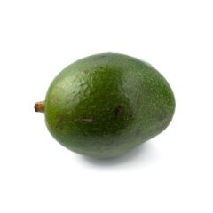 AGUACATE_INJERTO